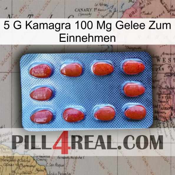 5Gm Kamagra 100Mg Oral Jelly 06